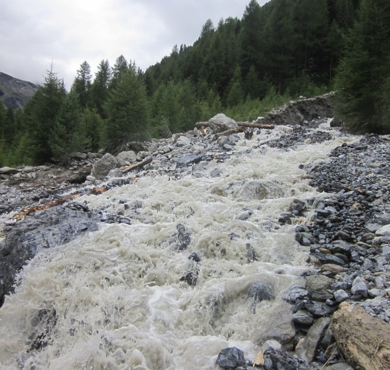 Gefahrenzonen-, Einzugsgebiets- und Flussgebietspläne