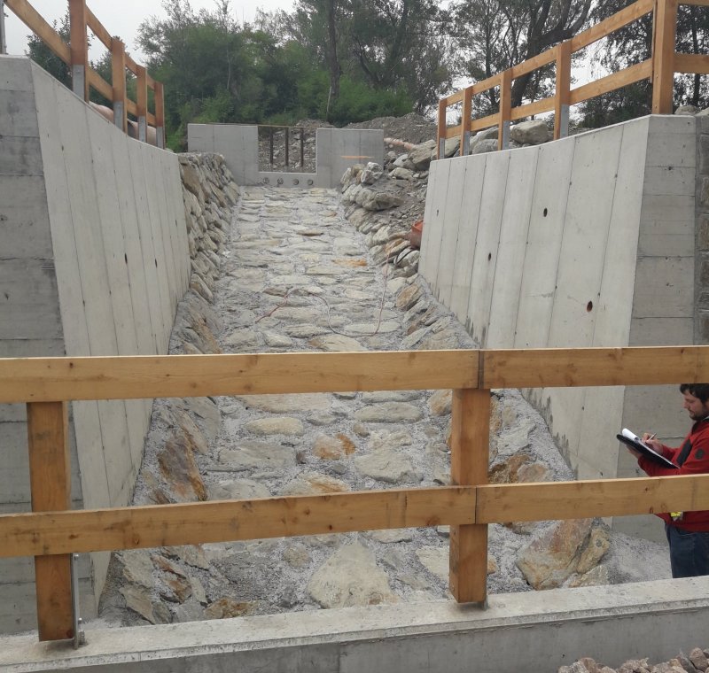 Kompatibilitätsprüfung Elektrifizierung Vinschger Bahn Meran – Mals