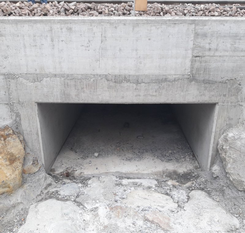 Kompatibilitätsprüfung Elektrifizierung Vinschger Bahn Meran – Mals