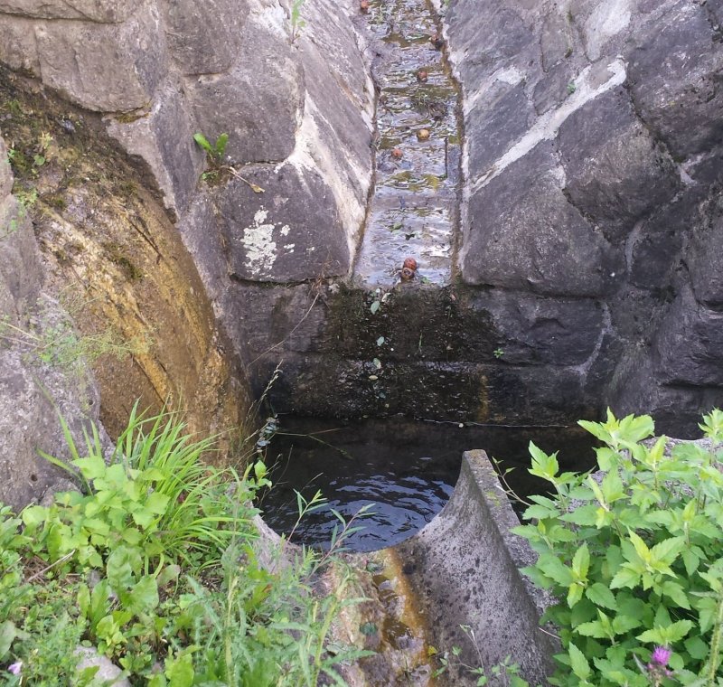 Kompatibilitätsprüfung Elektrifizierung Vinschger Bahn Meran – Mals