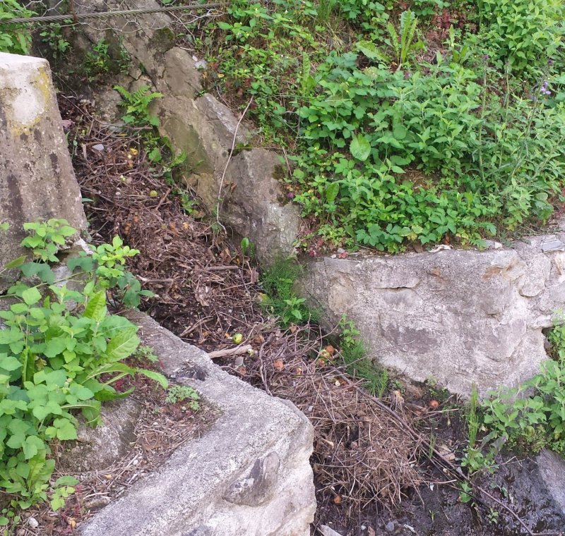 Kompatibilitätsprüfung Elektrifizierung Vinschger Bahn Meran – Mals