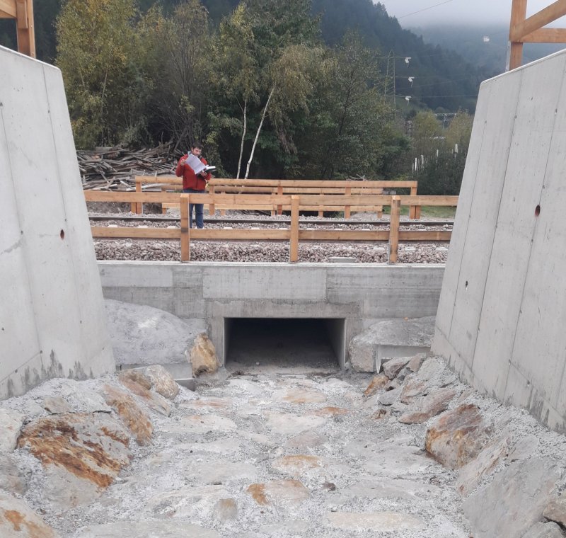 Kompatibilitätsprüfung Elektrifizierung Vinschger Bahn Meran – Mals